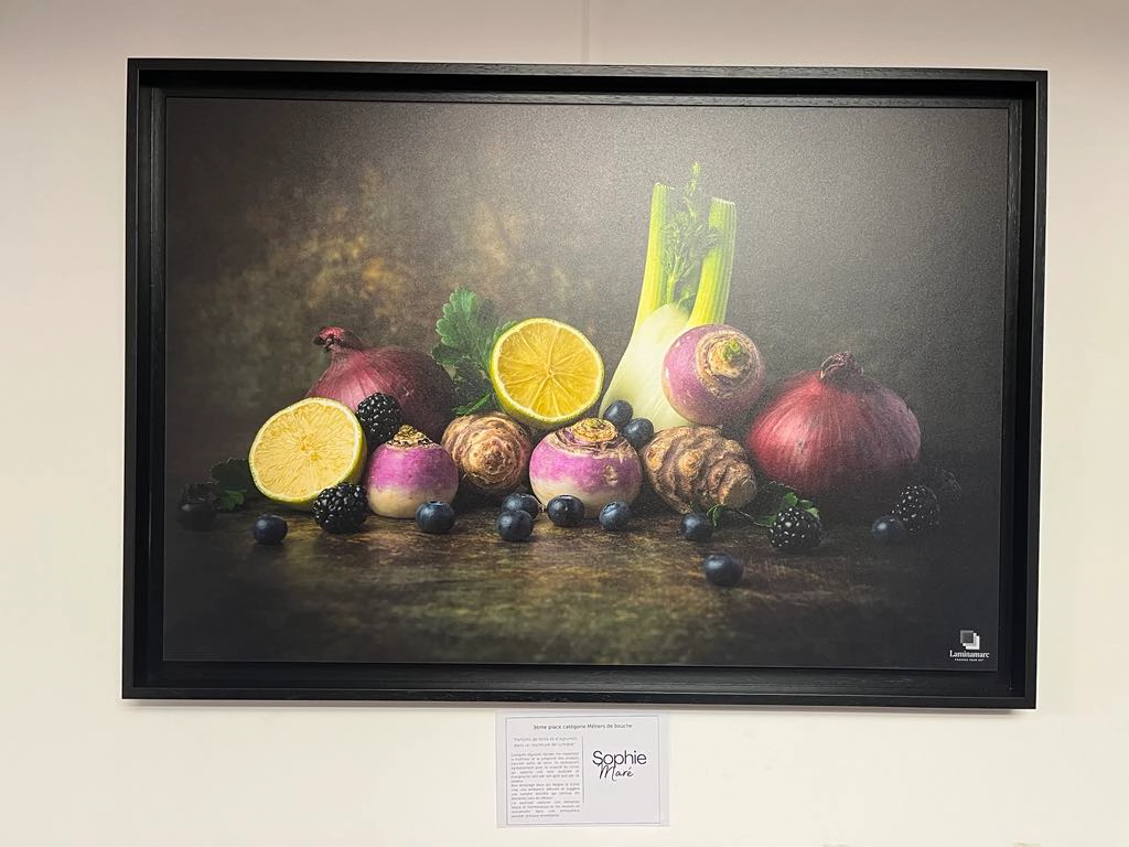 le tableau laminamarc du prix immersions dans les locaux du fafcea avec ffpmi en 2024