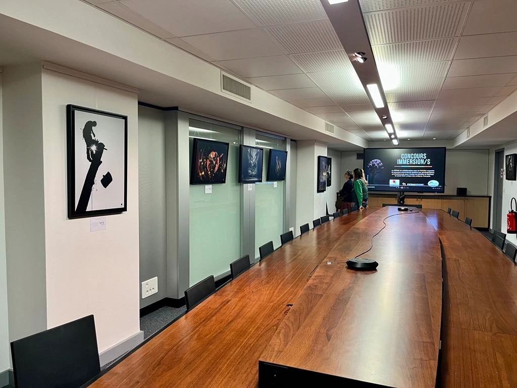 locaux du fafcea pour l'exposition immersions à paris